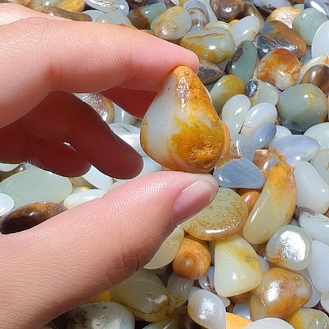 和田玉（糖玉）未镶嵌颈饰10克