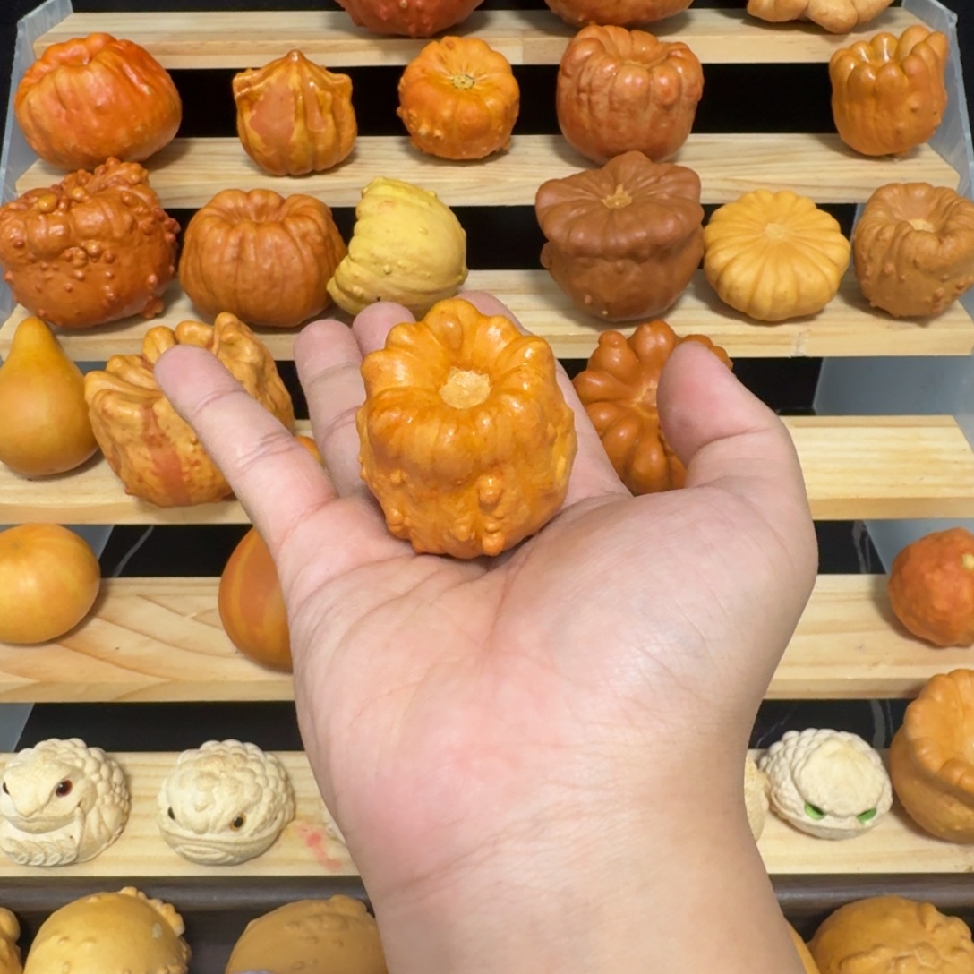 花罐子墨西哥葫芦喜欢的来