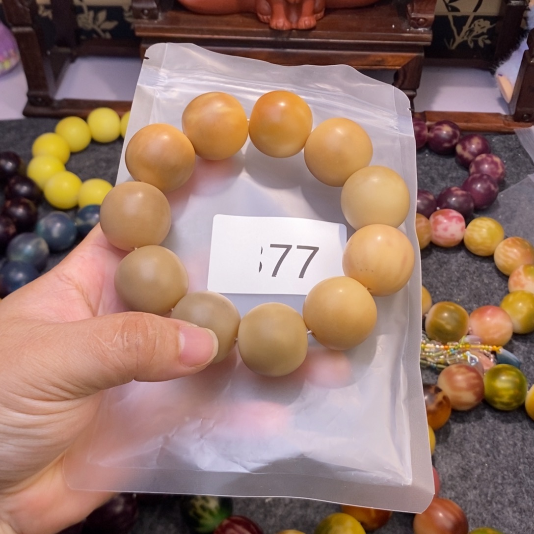 吊坠菩提根/象牙果77……