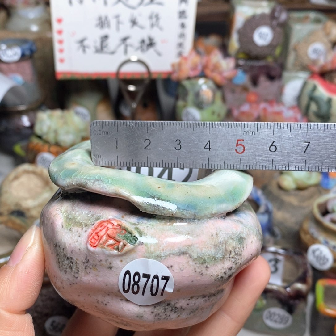 花盆拍2送一个小礼物