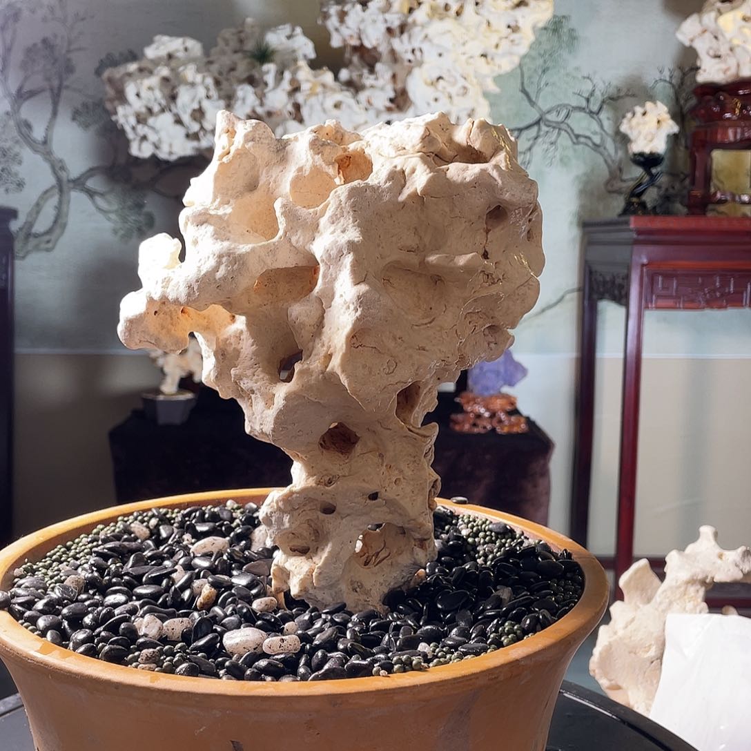 石材时**忆太湖石