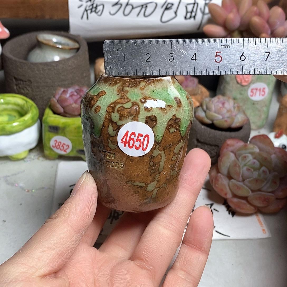 红陶拍5送一个小