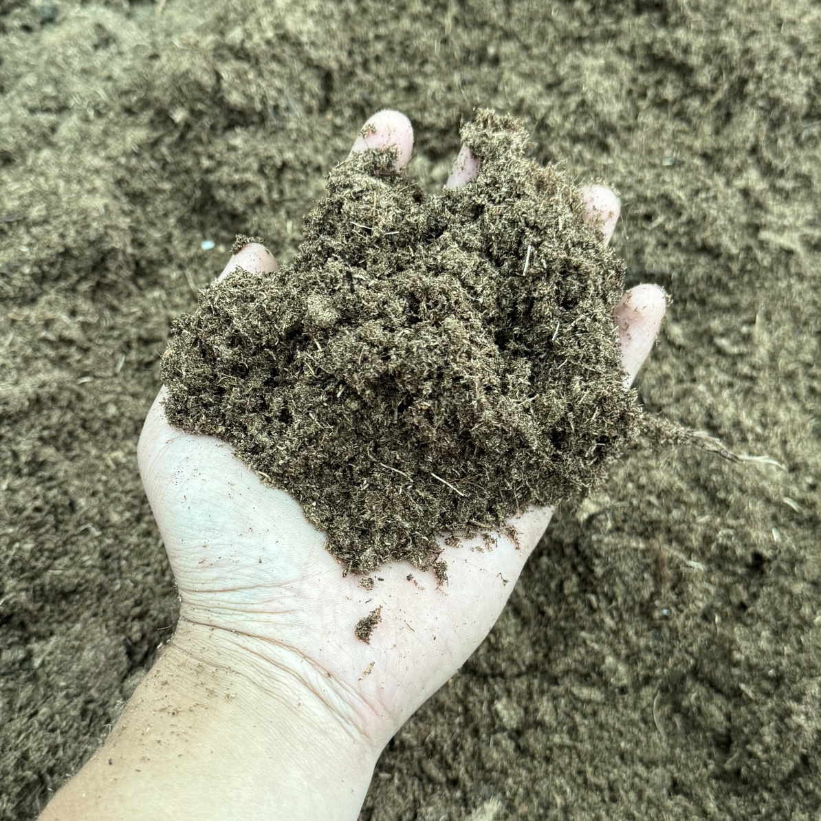 拉脱维亚进口泥炭土 不含木纤维 （规格0-40）喜酸植物通用型营养土