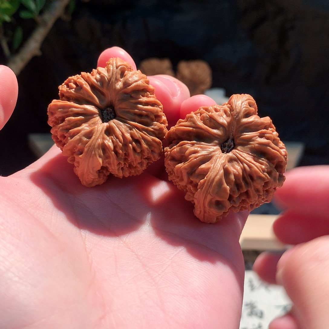 把件文玩核桃m****毛42南疆