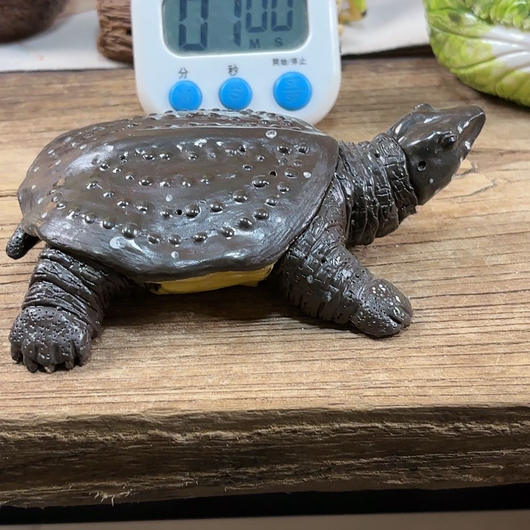 杯夜*歌祝老师陶艺作品欣赏