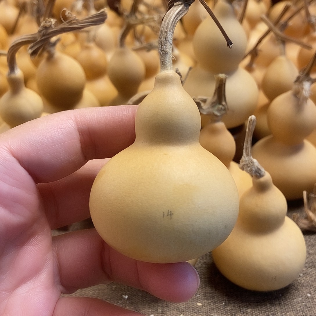 文玩葫芦 完美主义者 慎拍14