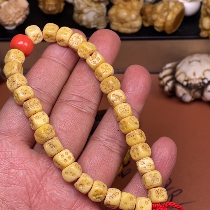 驼骨摆件人工养殖