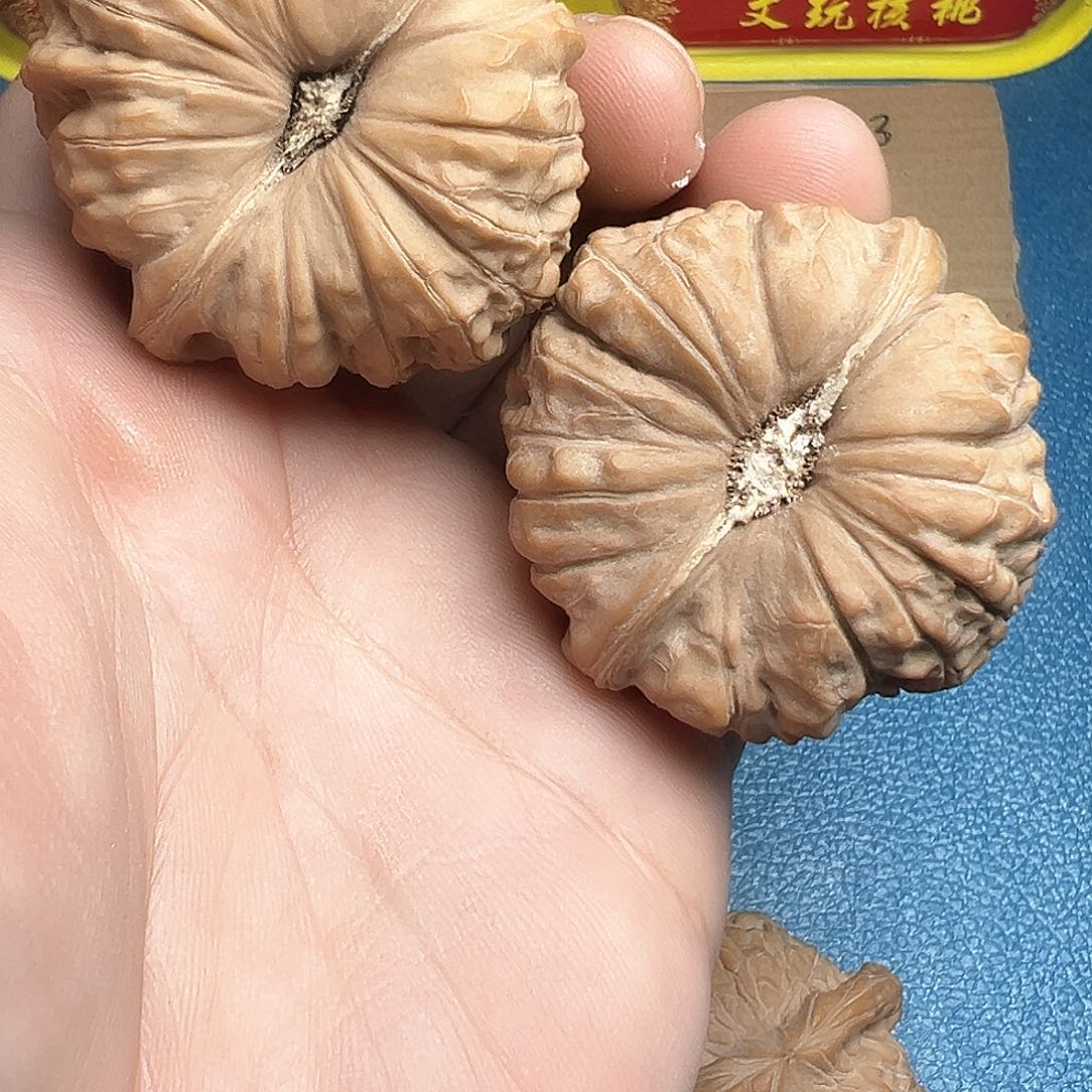 文玩核桃把件45.5南瓜墩