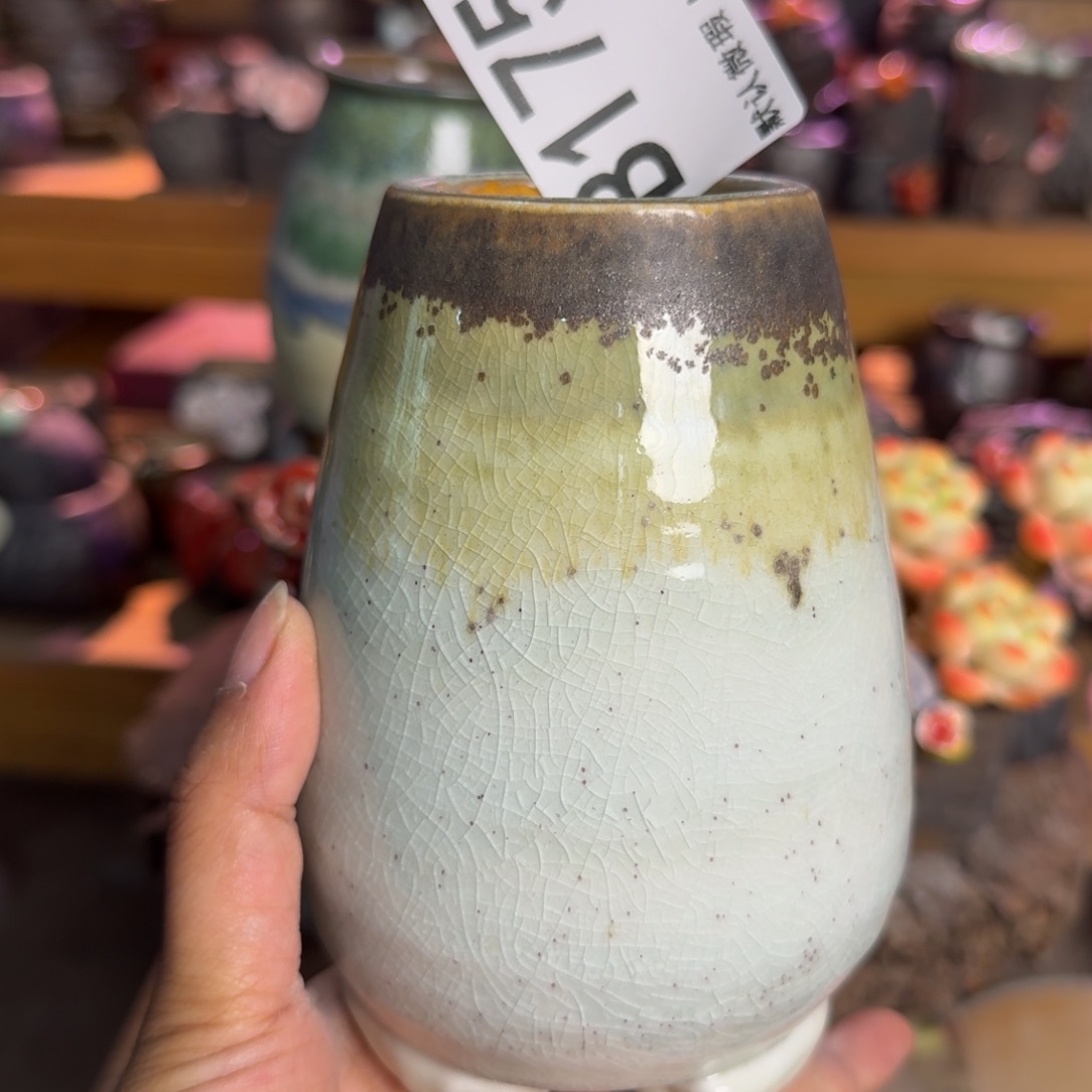 重庆小燕子欢迎大家175