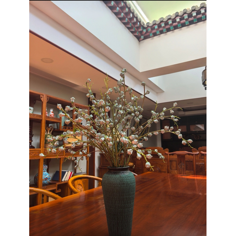 尤加利果鲜切枝长花期家居装饰淡淡木质香味