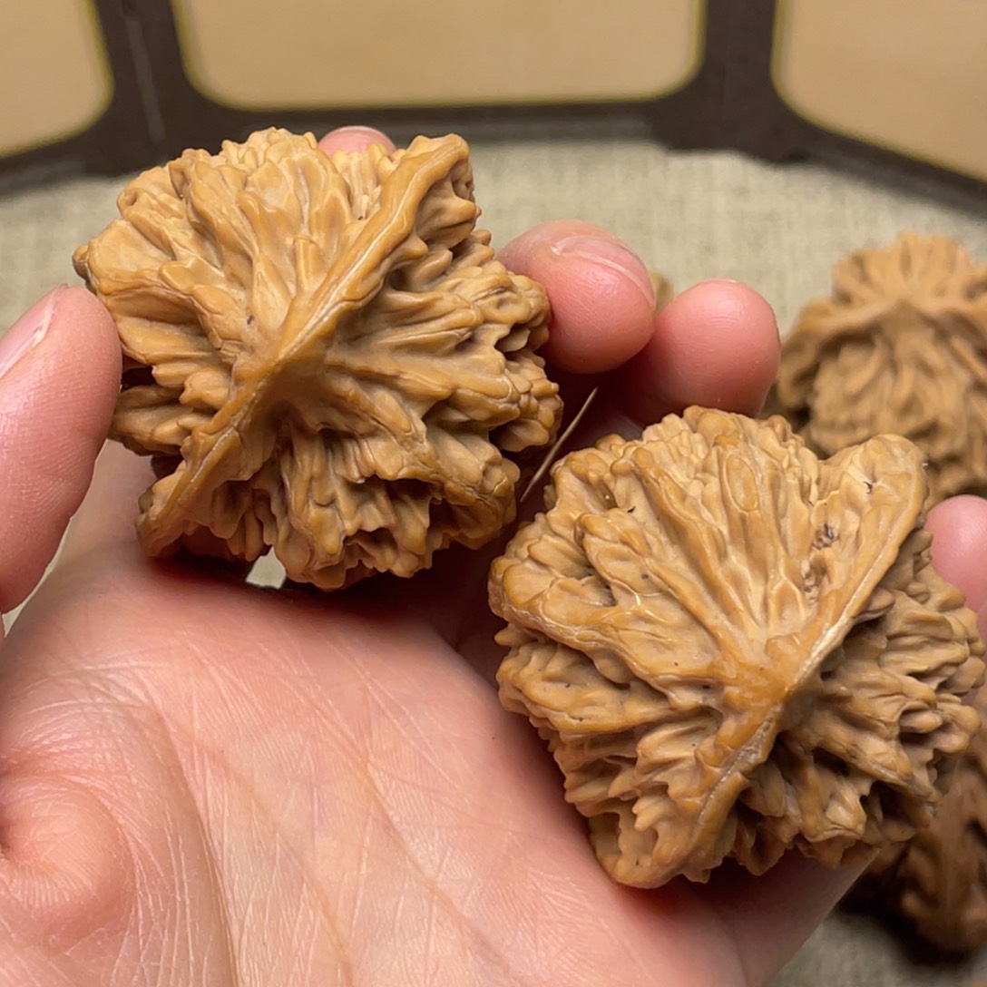 不***越文玩核桃把件秦岭核桃12号