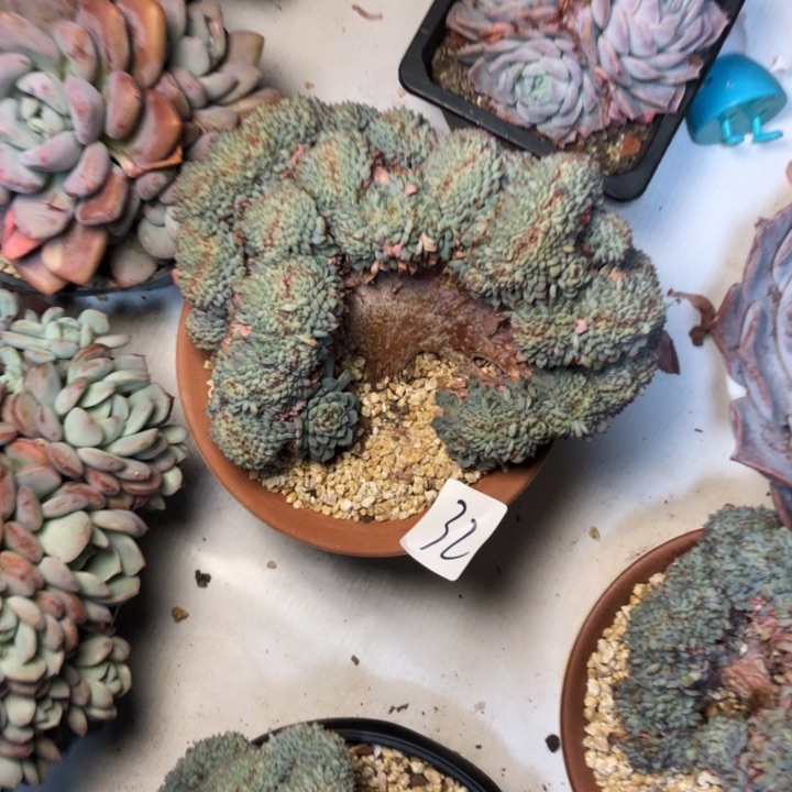 逍**恨32////////////////