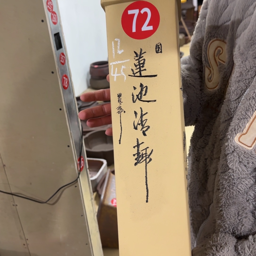 紫砂花盆呜呜呜呜