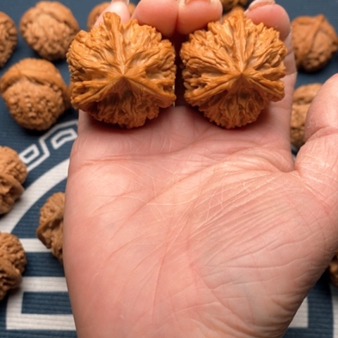 橄榄核手串/手链文山三棱38