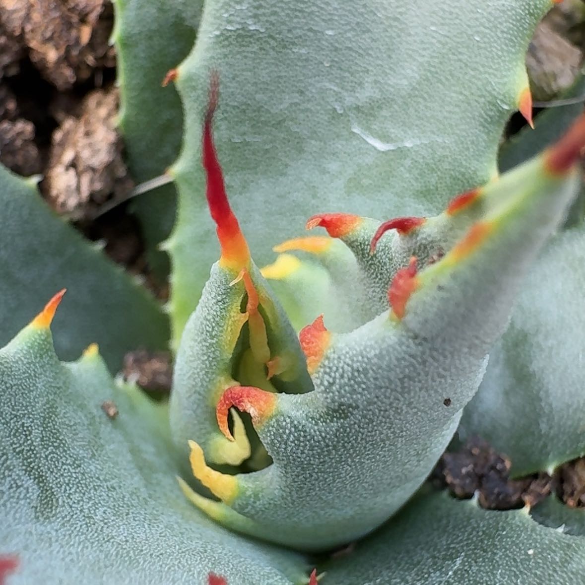 【闪购商品】3哈哈哈哈哈哈哈