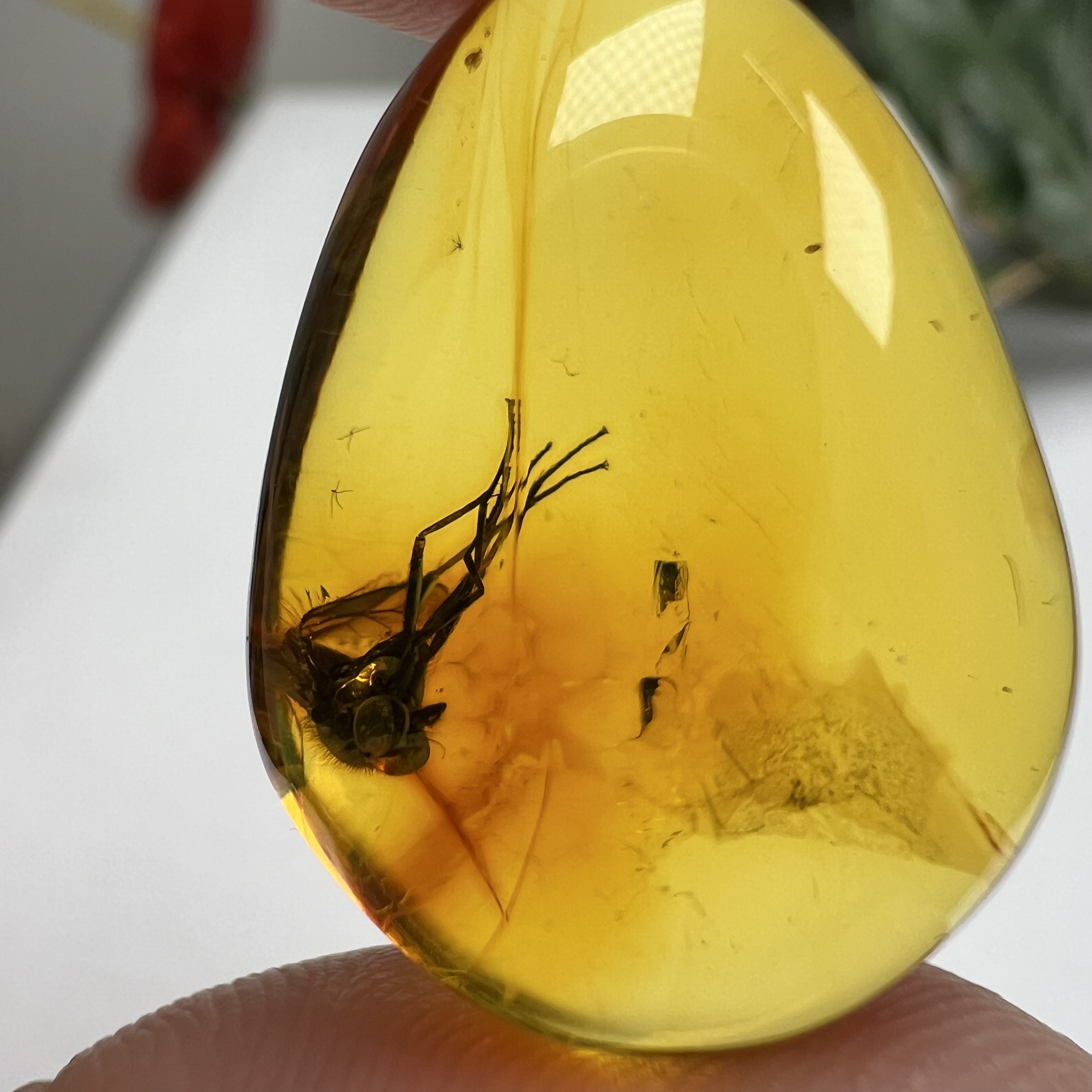 天然虫珀尺寸：24.8*18.6*10.9mm