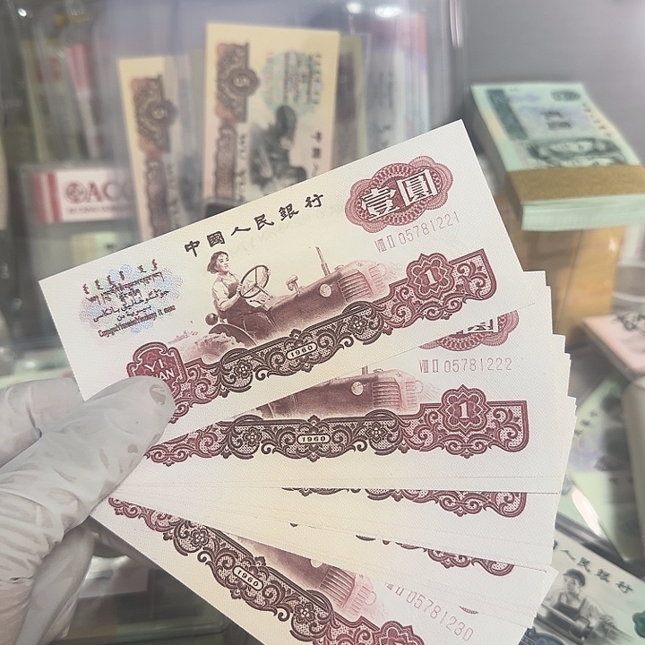女拖拉机幸运树豹子标十一组
