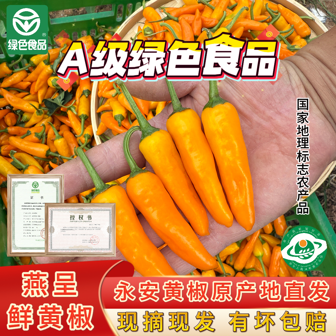 【拍多更划算】新鲜永安黄椒正宗魔鬼辣子弹椒超辣黄椒福建特产