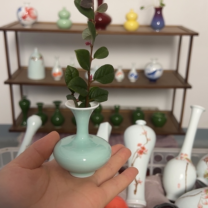 瓷片景德镇陶瓷研究所学会