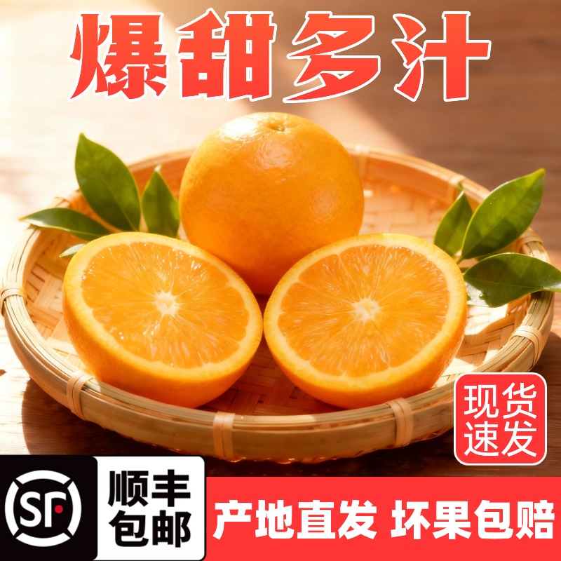 正宗富川脐橙【顺丰包邮】果园直发现采摘 鲜甜多汁 坏果包赔 