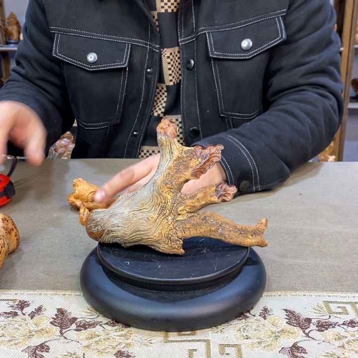 柏木（崖柏）崖柏1