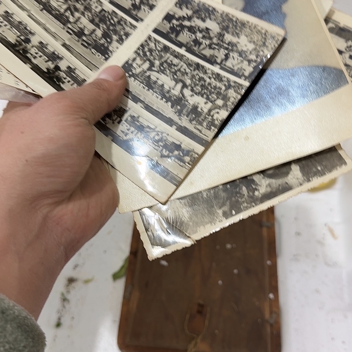 筱***)扇子不哈哈哈哈哈哈好家伙哈哈他