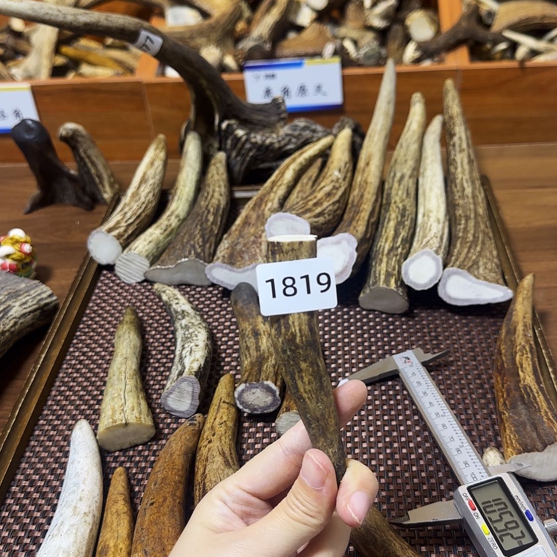 鹿骨手串/手链1819角尖