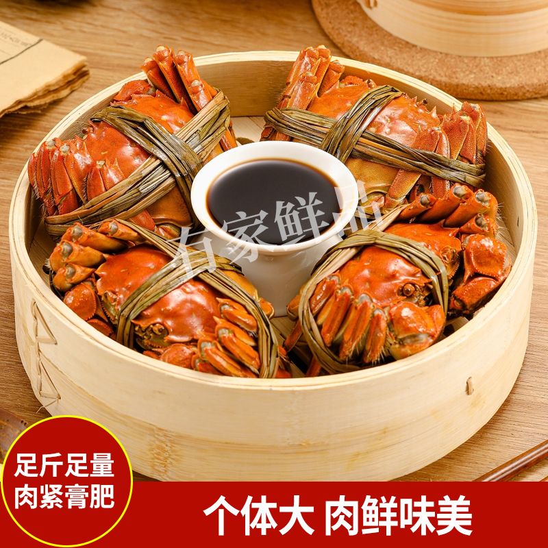 【活蟹现发】母蟹5-5.3两，公蟹5-5.3两，拍6只送2只到手8只京东包邮