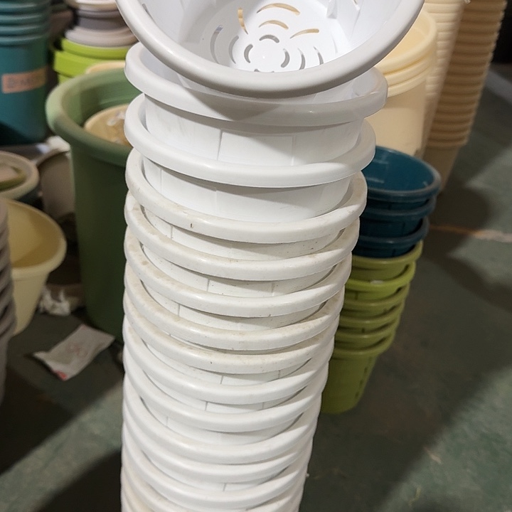 测19口径6个无托白色瑕疵