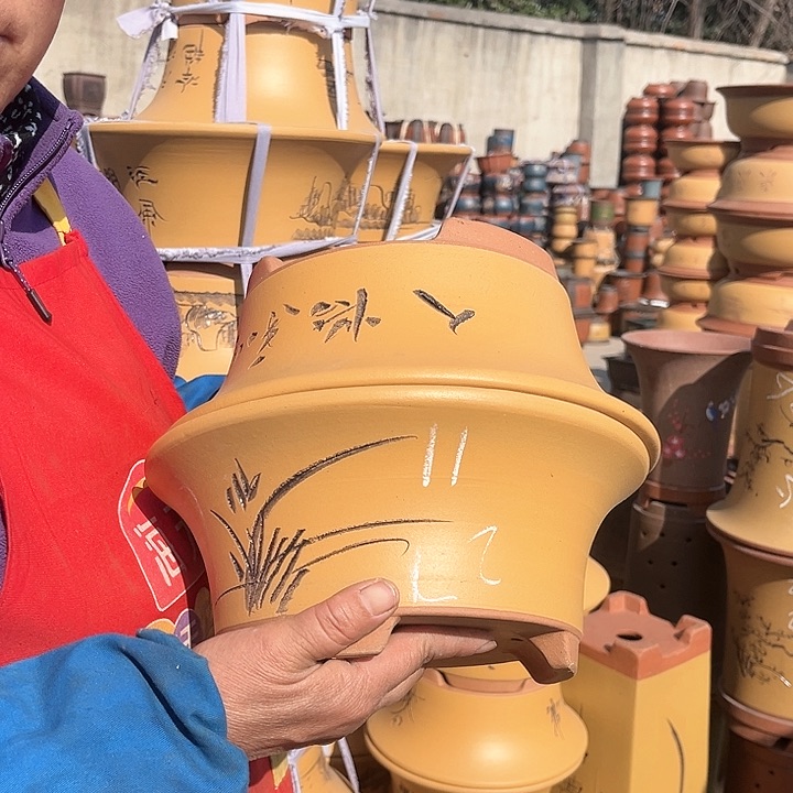 紫砂紫砂花盆盆栽