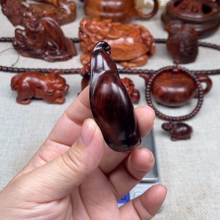 黄花梨/降香黄檀其他随形豆荚