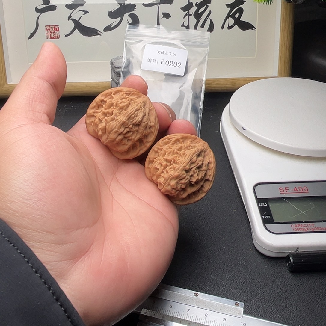 F202望月41+尺全品