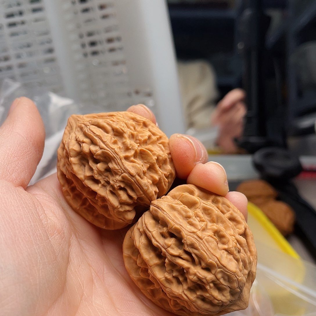 鸡心19.9的一位女