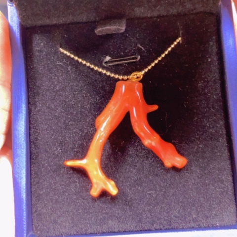 【闪购商品】翡翠颈饰未镶嵌翡翠