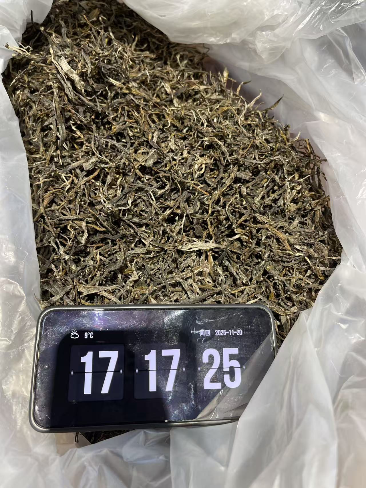 N1 2025年南糯山拔玛正山古树  散茶 普洱茶  25/11/20