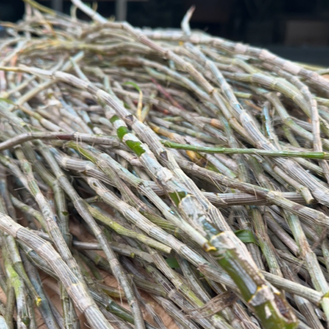 【铁皮石斛条】净含量250g/500g