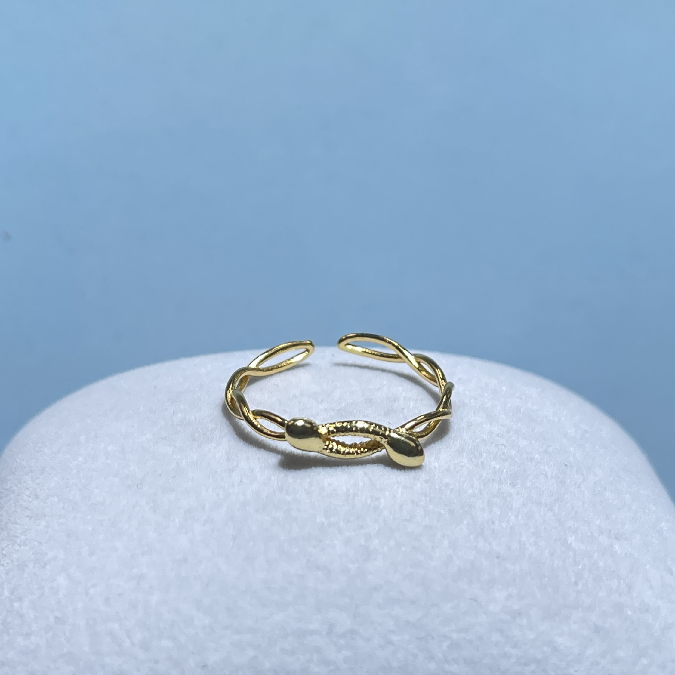 925银戒指 925银轻奢高级感女戒情侣送礼戒指礼物