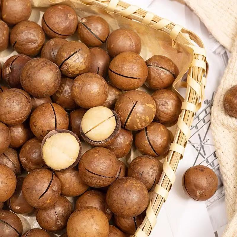 2024年新果年货夏威夷果包邮15-20mm