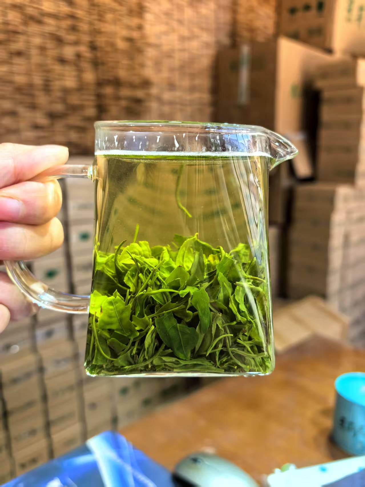 直播间专属买半斤送半斤恩施高山云雾茶手工炒青茶