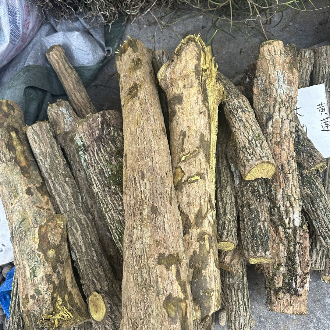 广西山货十大功劳木切片干货 土黄连黄柏刺