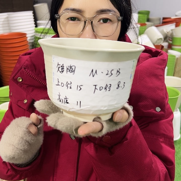 正品矮陶口15高11白色无托10个