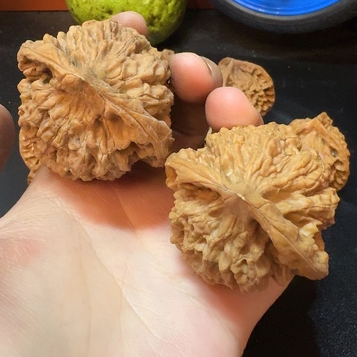 吊坠桃核麒麟纹官帽50尺寸