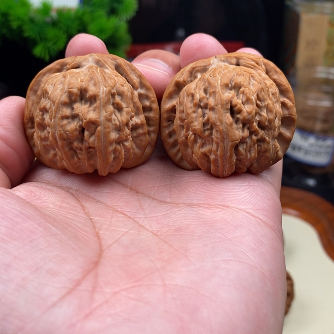 把件文玩核桃白狮子球白41.5