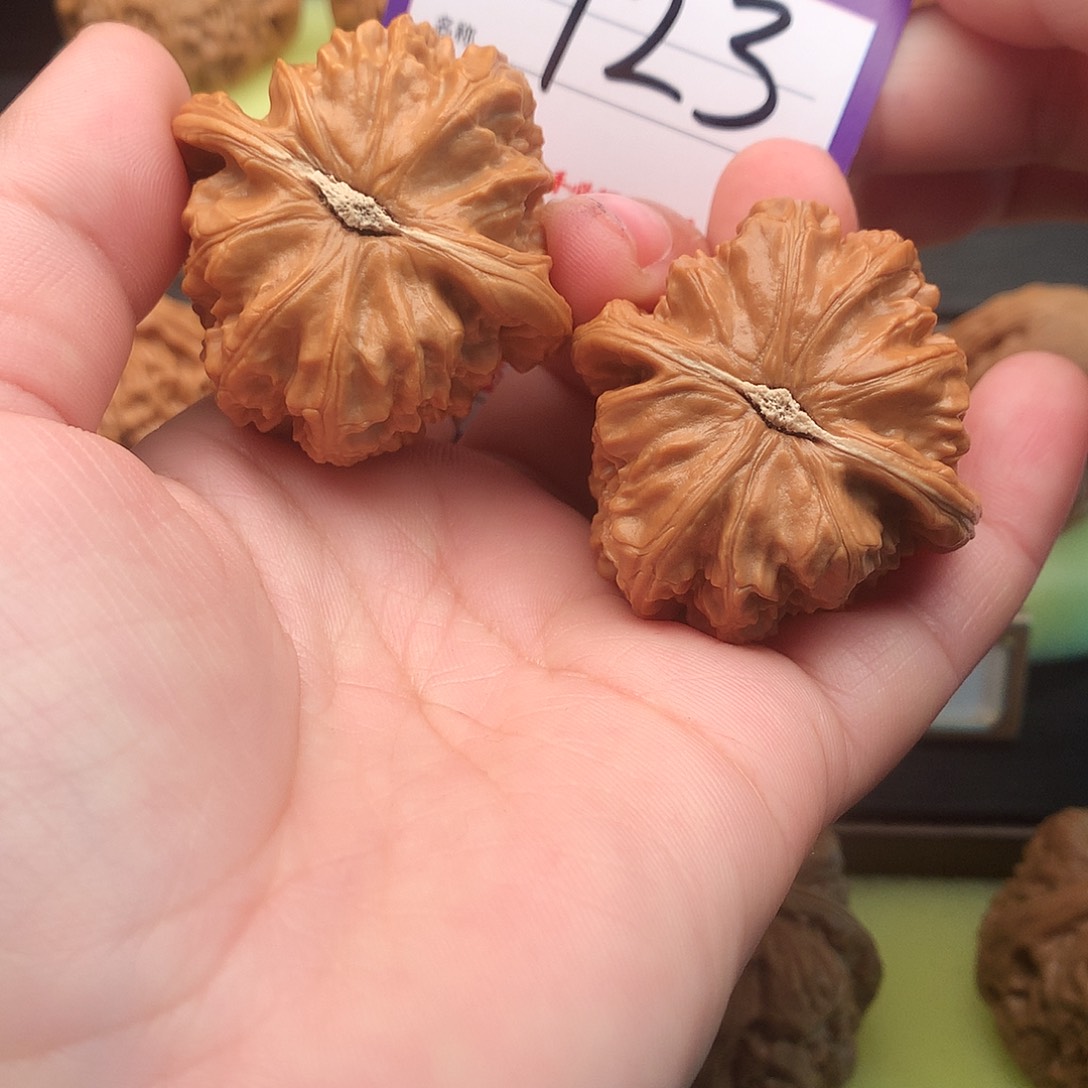 文玩核桃吊坠723号白狮子40