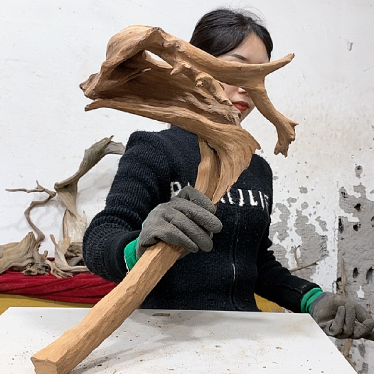 【闪购商品】柏木泰**下我们都是好孩子