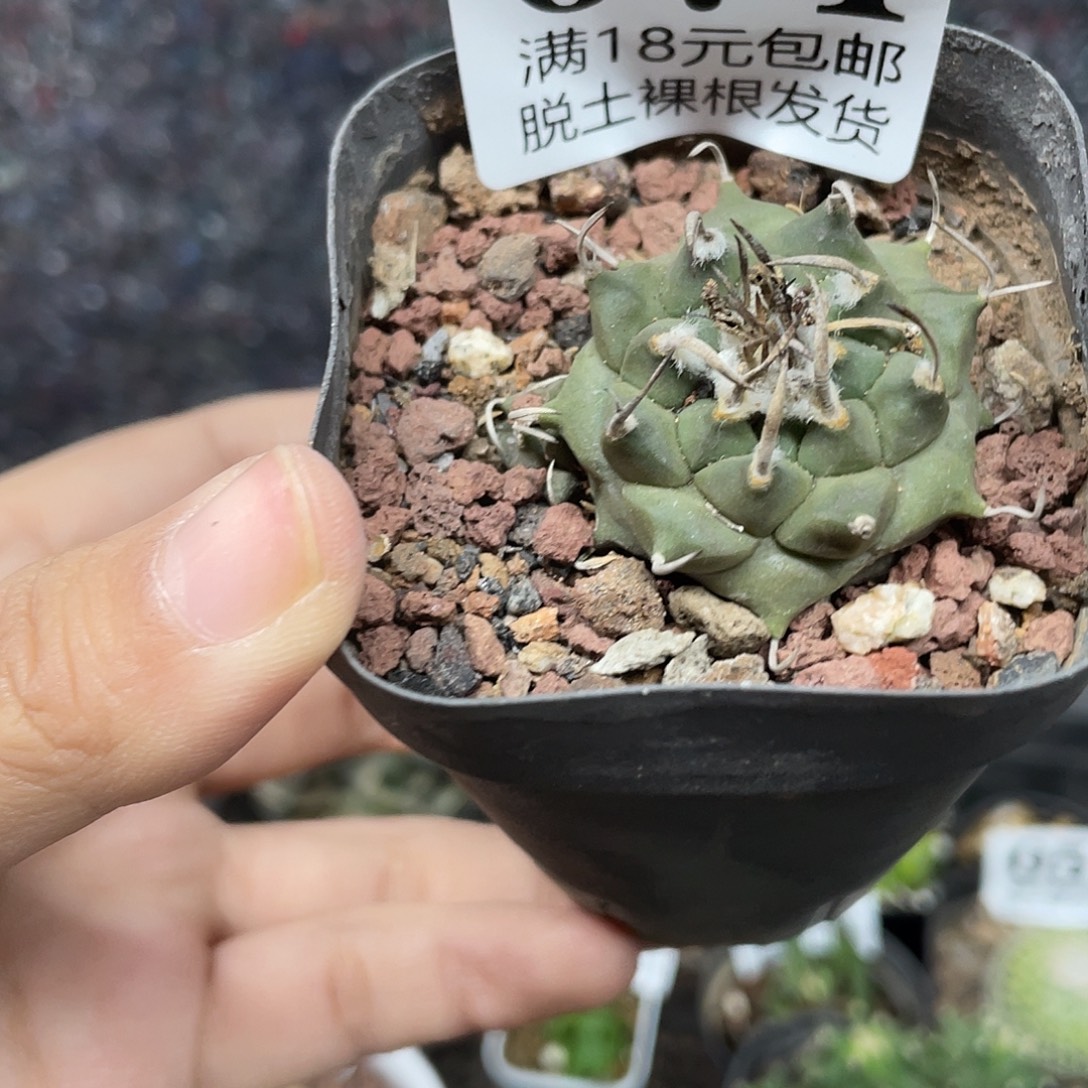 074升云龙（满18元包邮