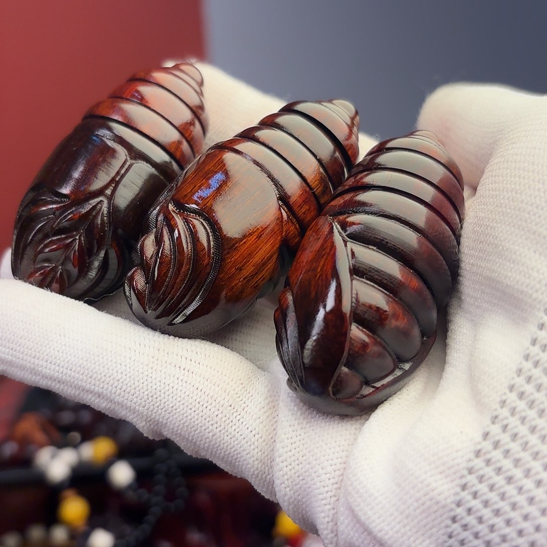 檀香紫檀（小叶紫檀）蛹