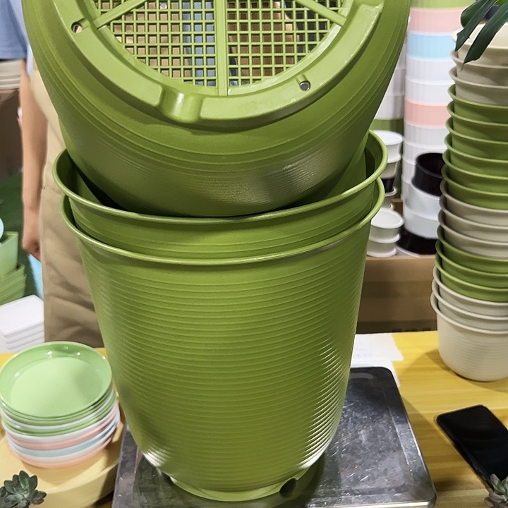 高陶口30高30果绿无托3个