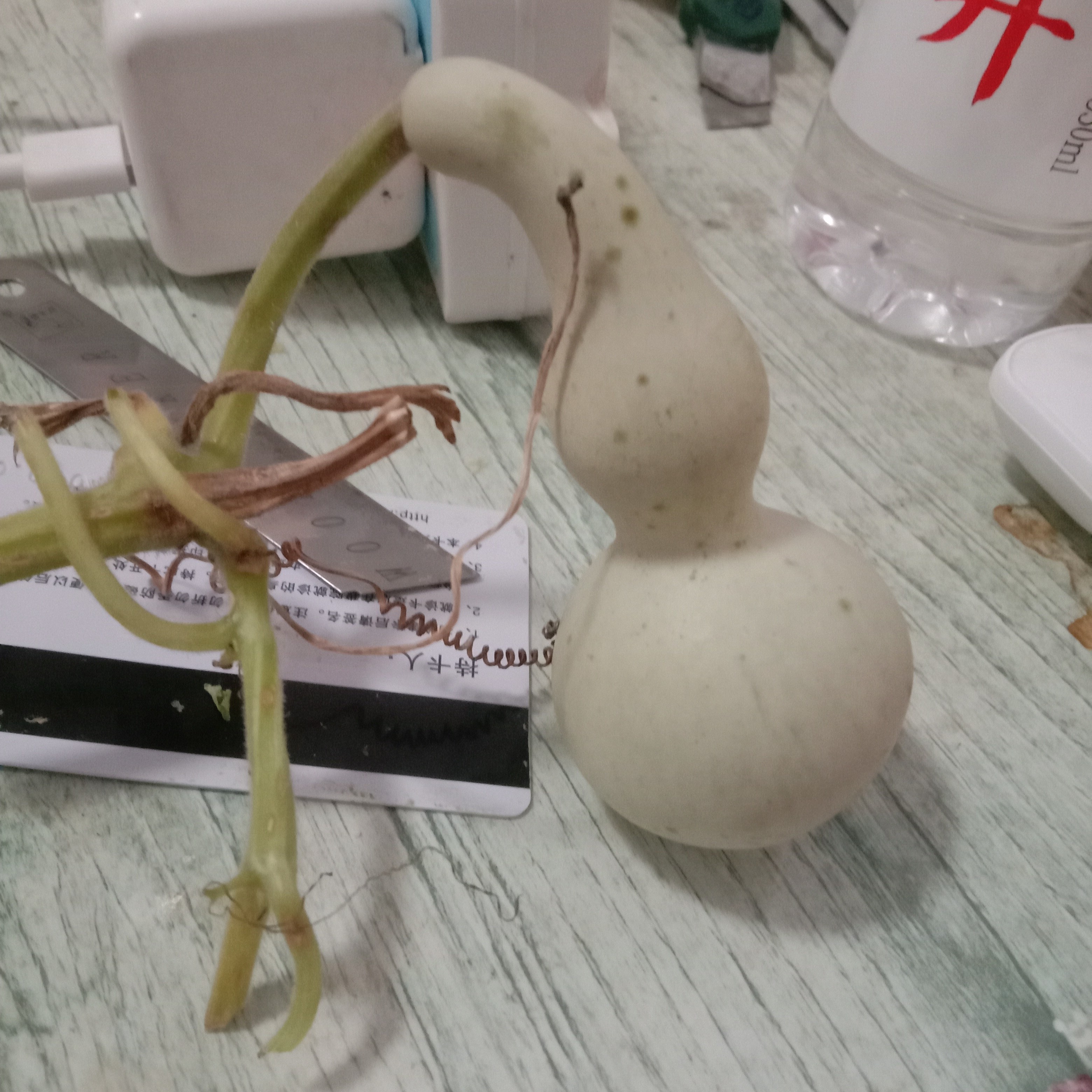 青皮粗嘴八宝葫芦一物一价包邮