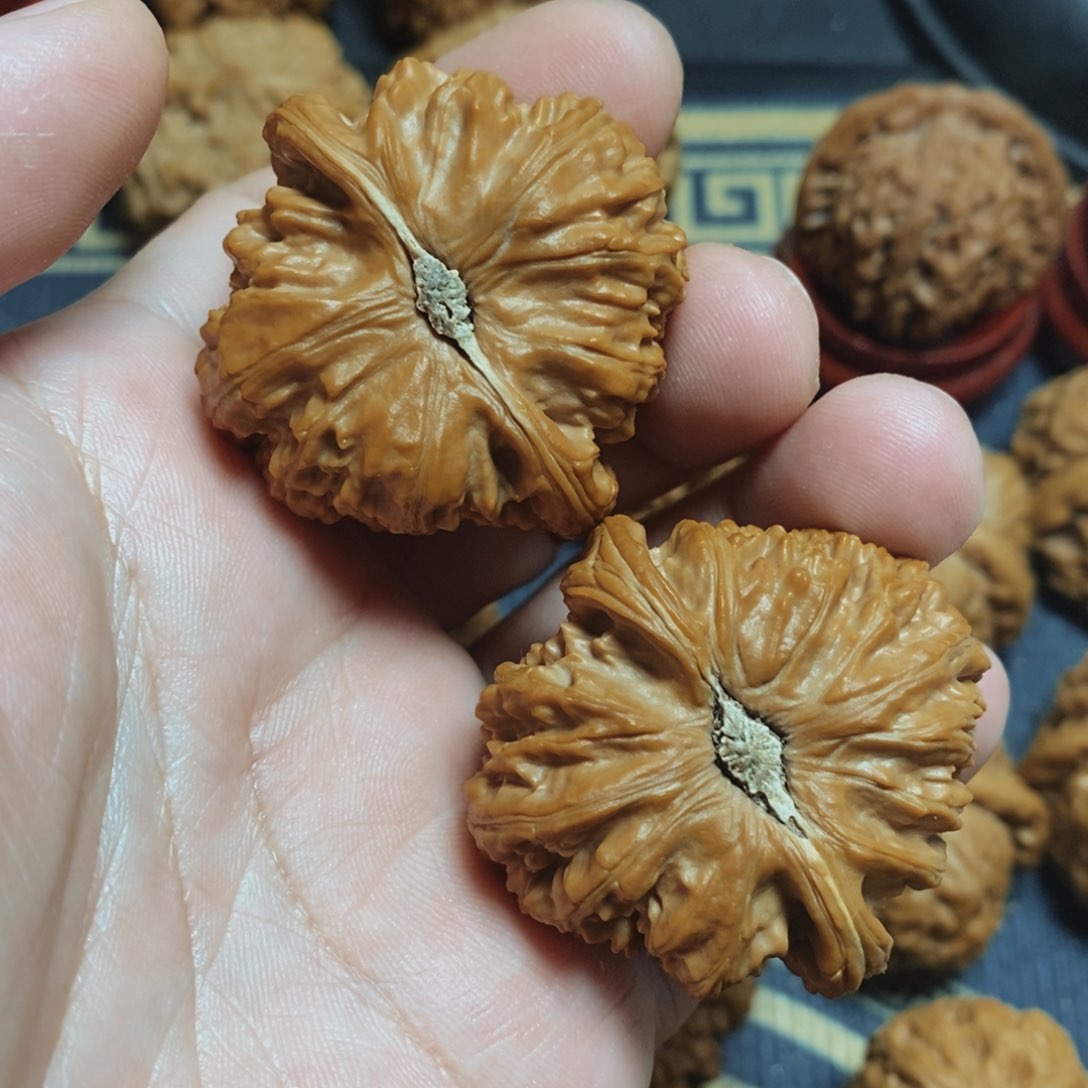 文玩核桃把件白狮子 42 39